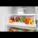 Фото Холодильник DS 4180 W